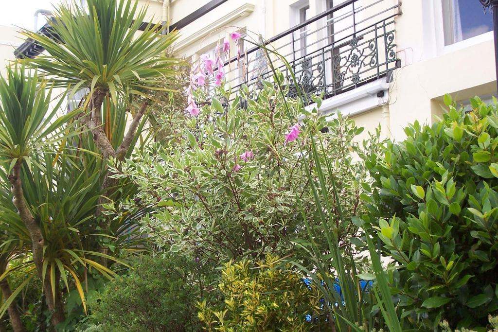 Ashwood Grange Bed and Breakfast Torquay Eksteriør billede